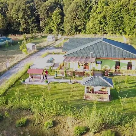 Agropensiunea Valea Fagilor Luncavita ภายนอก รูปภาพ