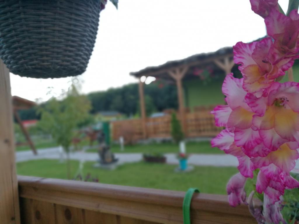 Agropensiunea Valea Fagilor Luncavita ภายนอก รูปภาพ