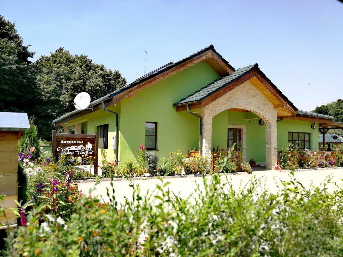 Agropensiunea Valea Fagilor Luncavita ภายนอก รูปภาพ